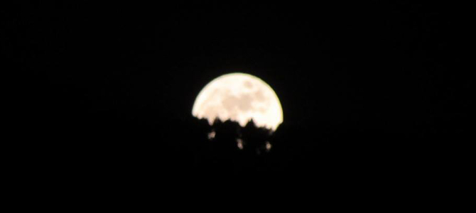 Che rumore fa la luna piena  alle pendici dell'Himalaya